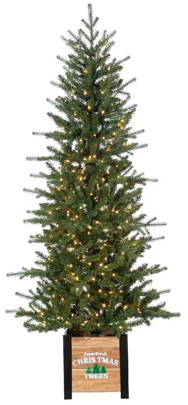 6' Pre-Lit LED Artificial Natural Cut Devon Pine Potted Entrance Tree