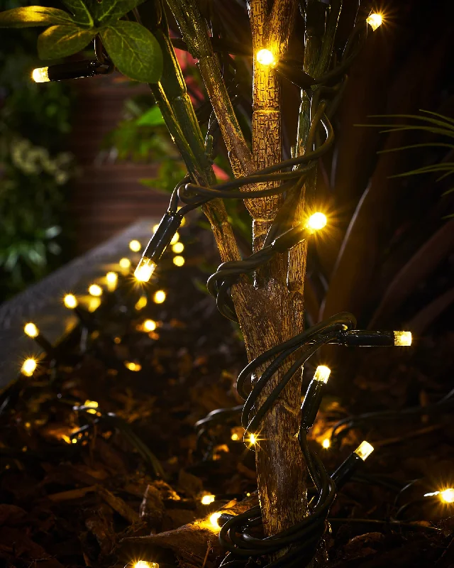 LINK PRO LED String Lights, Black Cable, Gold