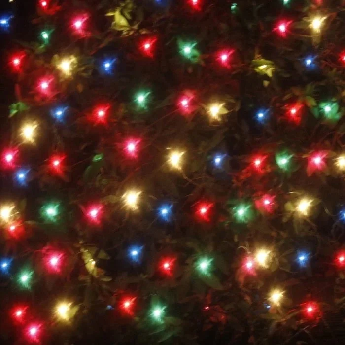 (Multicolored) Multicolored Shimmering Net Lights