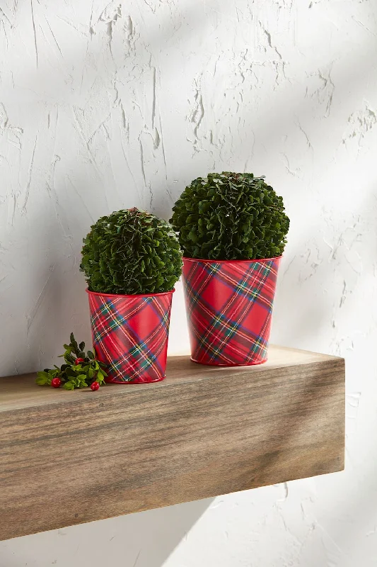 BOXWOOD TARTAN POTS BY MUD PIE