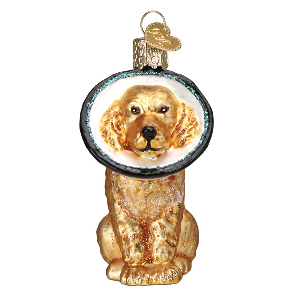 Cone Of Shame Dog Ornament - Old World Christmas