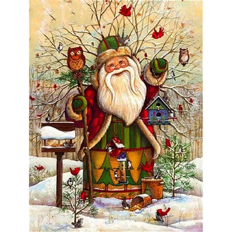 Paint By Number Santa and Owl